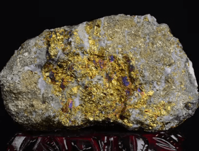 Gold CIP/CIL Processing plant(图1)